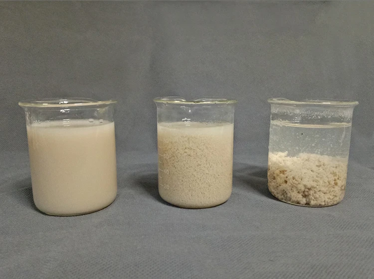 PAM Cationic Polyacrylamide Powder (2)