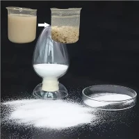 Cationic Partially Hydrolyzed Polyacrylamide