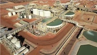 Πέλλετ ενεργού άνθρακα 25 κιλών Jacobi Gold με βάση την καρύδα