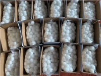 Μέσα φίλτρου Fiber Ball