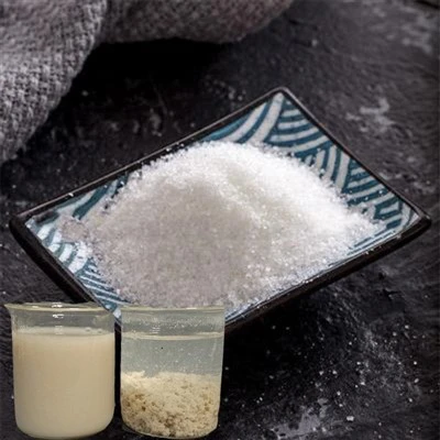 Waste Water Treatment Chemicals Flocculant Cionic Coagulant Pam Powder