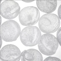 Επεξεργασία νερού 1mm 3mm 6mm 10mm 20mm Granular Siliphos Polyphosphate Crystal RO Μπάλες κατά των αλάτων